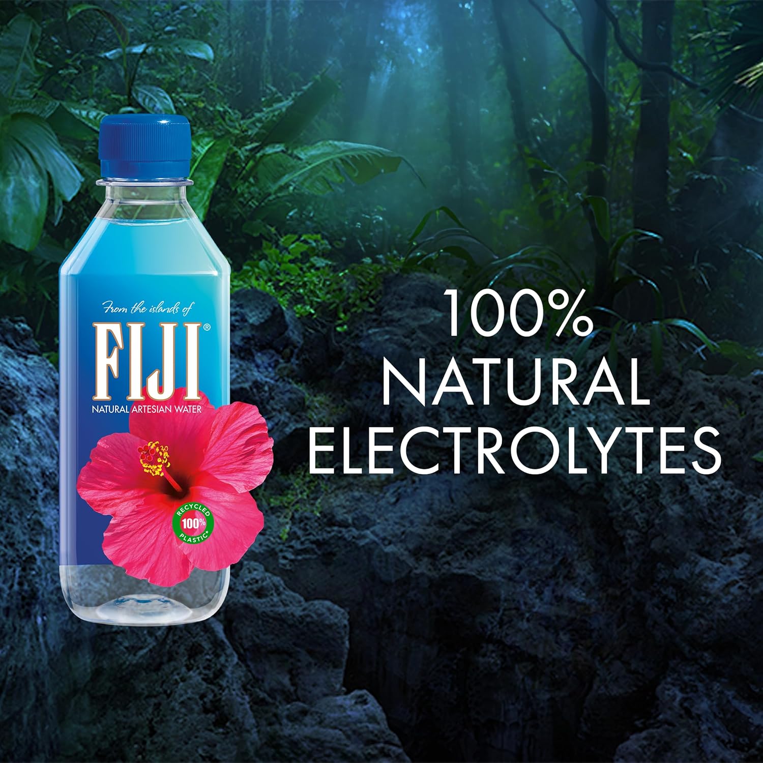 FIJI Natural Artesian Water 330ml Pack 24